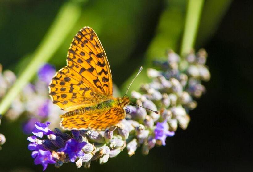 Bed and Breakfast Entre Terre Et Ciel