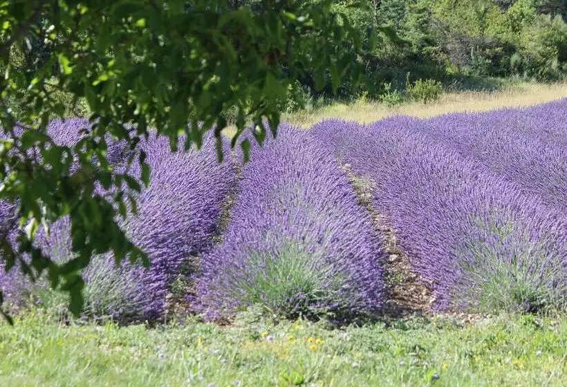 ベッドアンドブレックファースト Entre Terre Et Ciel