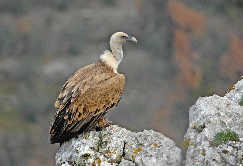 Bed and Breakfast Entre Terre Et Ciel