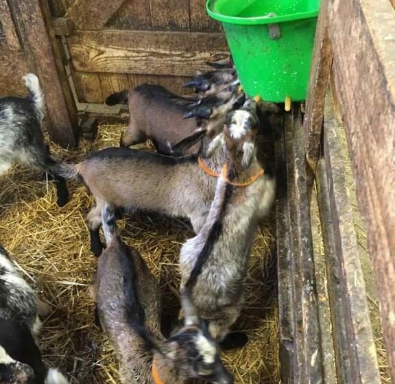 צימר Gite Im Berg