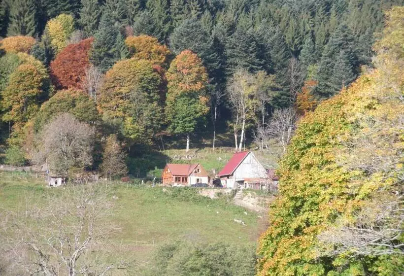 Aamiaismajoitus (B&B) Gite Im Berg