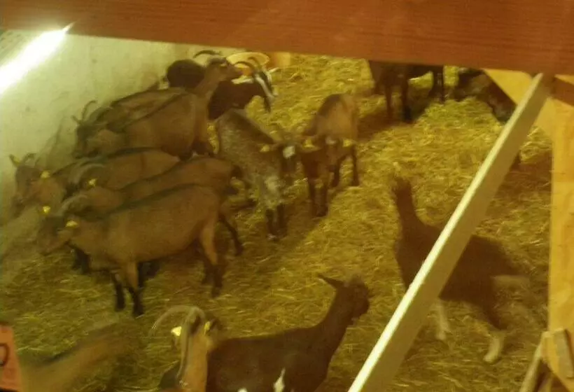 Aamiaismajoitus (B&B) Gite Im Berg