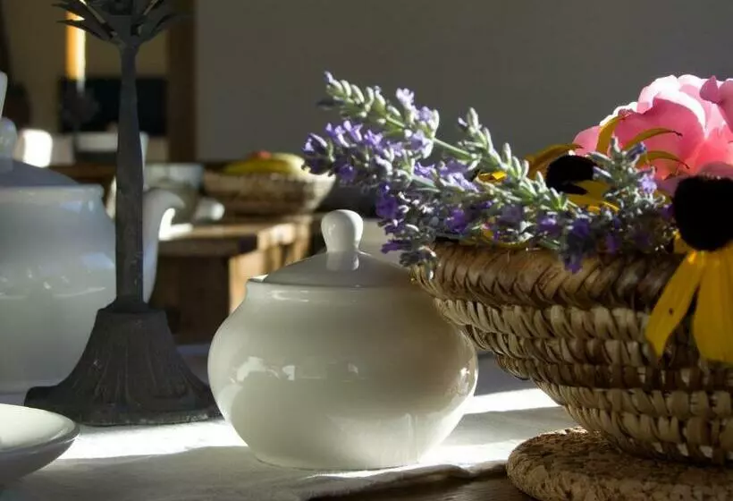 Aamiaismajoitus (B&B) Le Renard D Introd