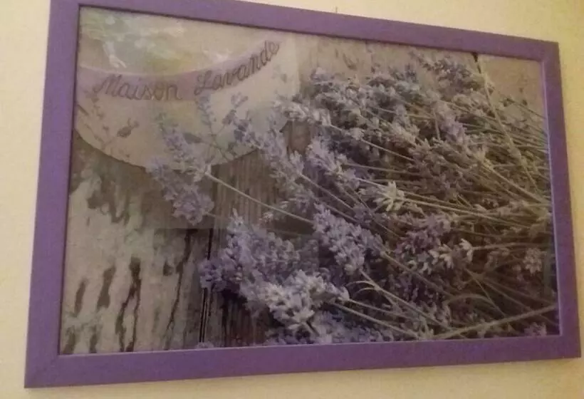 تختخواب و صبحانه Maison Lavande