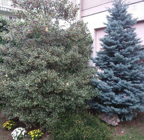 Bed and Breakfast Maison Lavande