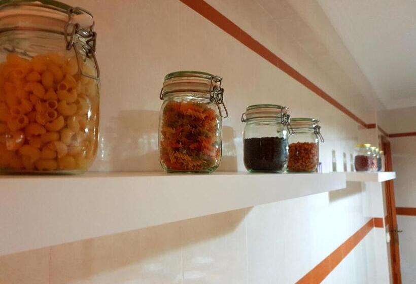 پانسیون Downtown Guest House