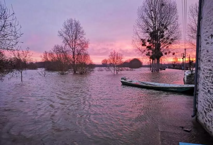 ベッドアンドブレックファースト Bedloire