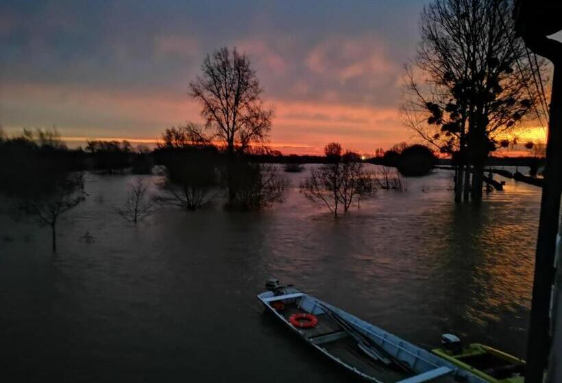 住宿加早餐  Bedloire