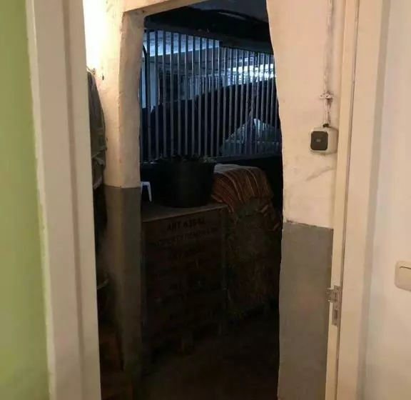ベッドアンドブレックファースト Boerderij De Enkhoeve