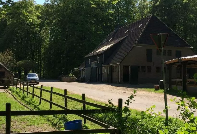 ベッドアンドブレックファースト Boerderij De Enkhoeve