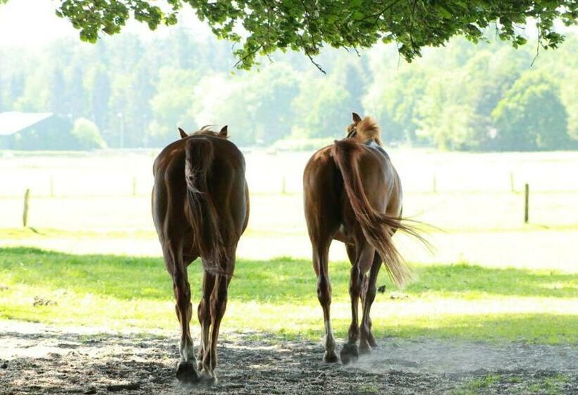 민박 Boerderij De Enkhoeve