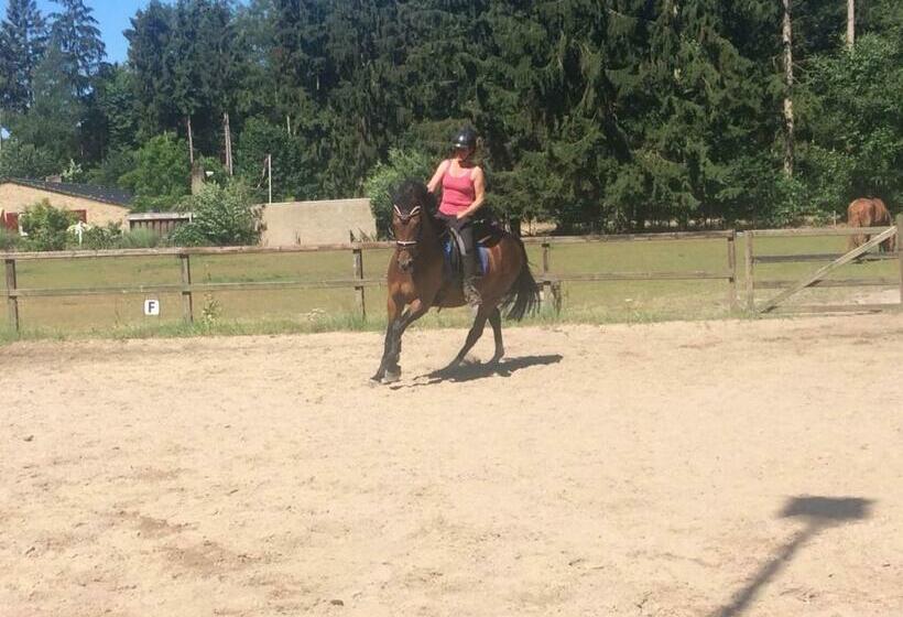 민박 Boerderij De Enkhoeve