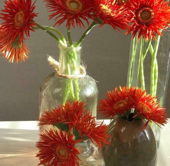 Aamiaismajoitus (B&B) De Pelgrimsplaats