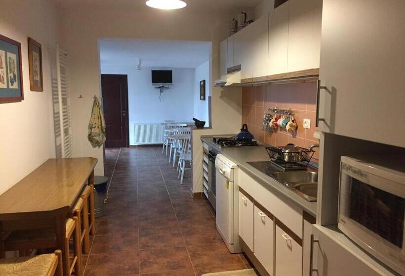 Hotel Pensiunea Simona