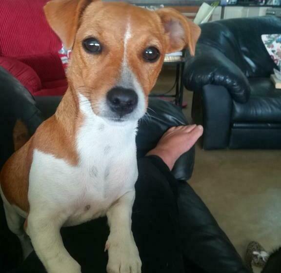 膳宿费 Roscommon Guest House