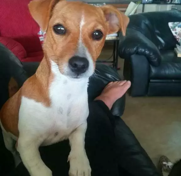 Majatalo Roscommon Guest House