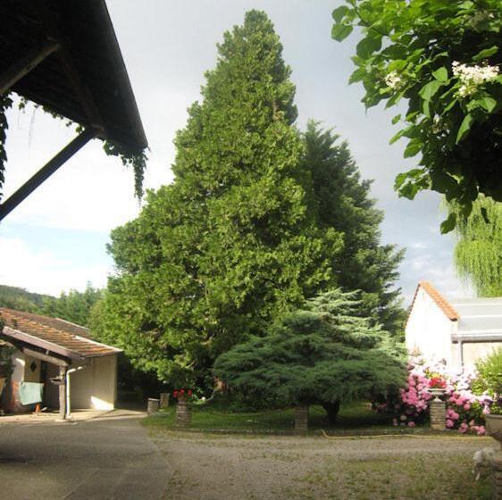 פנסיון Villa Dufresne