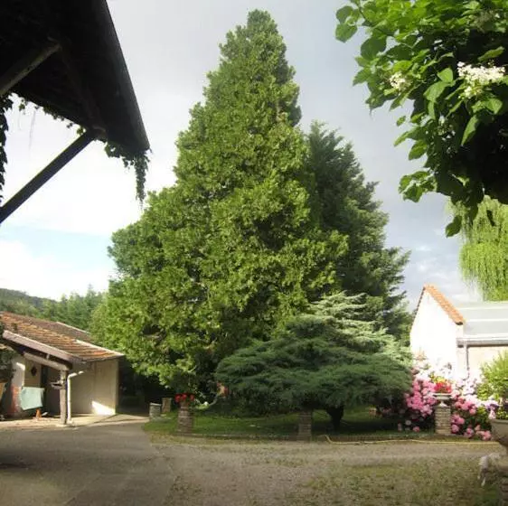 Pensione Villa Dufresne