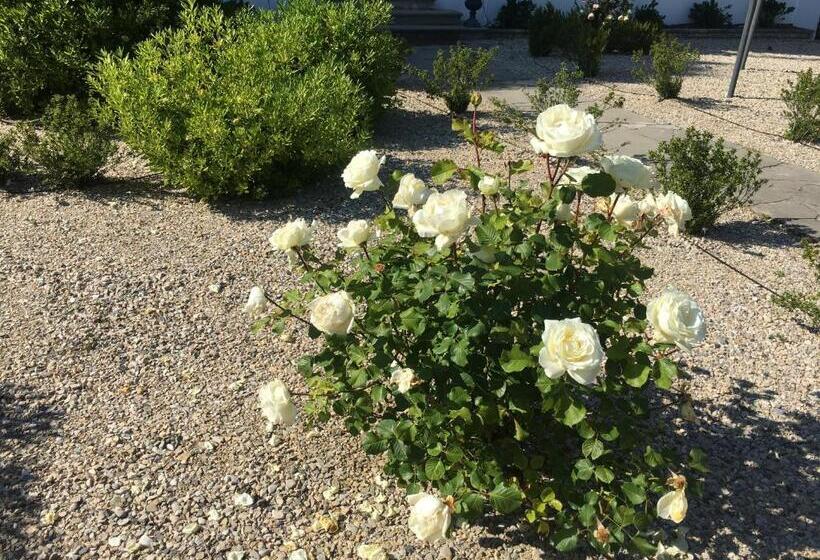 פנסיון Villa Dufresne