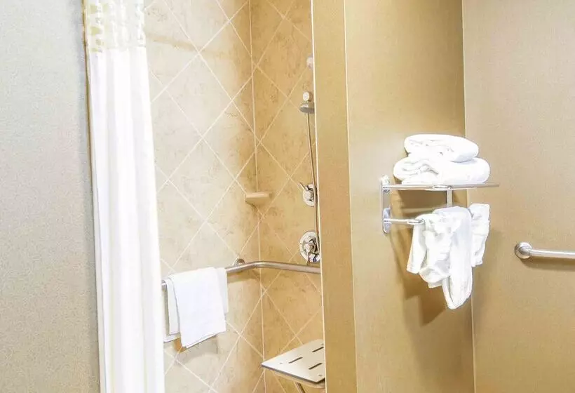 Hampton Inn & Suites Pinedale