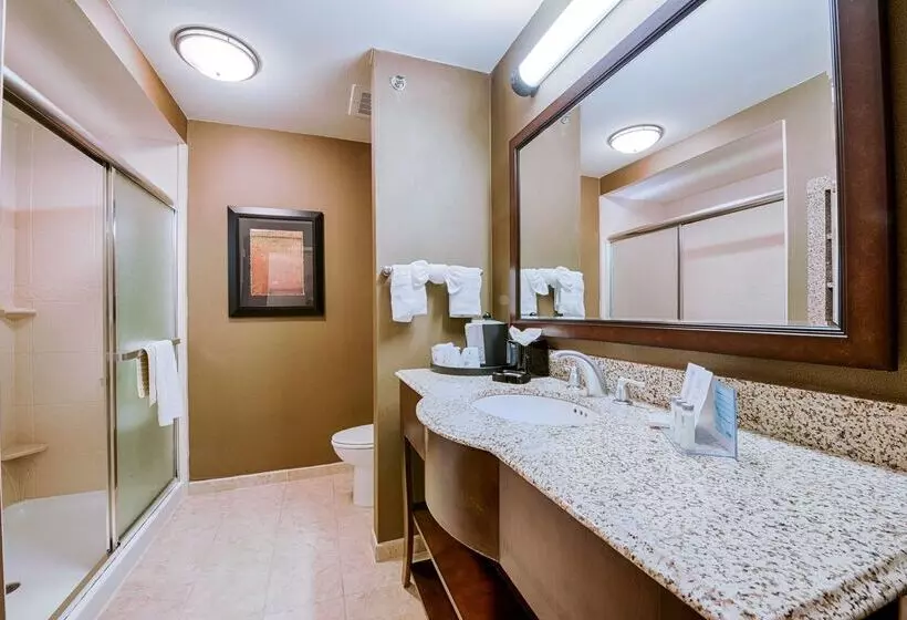 Hampton Inn & Suites Pinedale