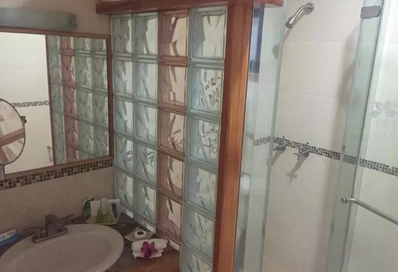 ホテル Boutique Pueblo Lindo