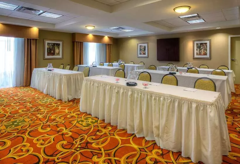 酒店 Hampton Inn & Suites Mcallen