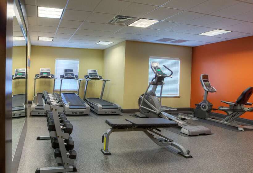 ホテル Hampton Inn & Suites Mcallen