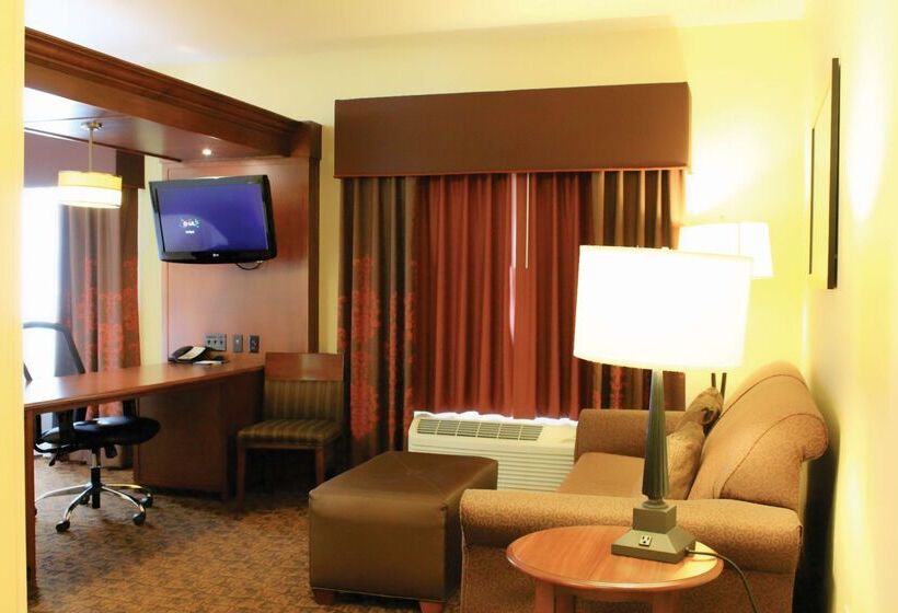 ホテル Hampton Inn & Suites Mcallen