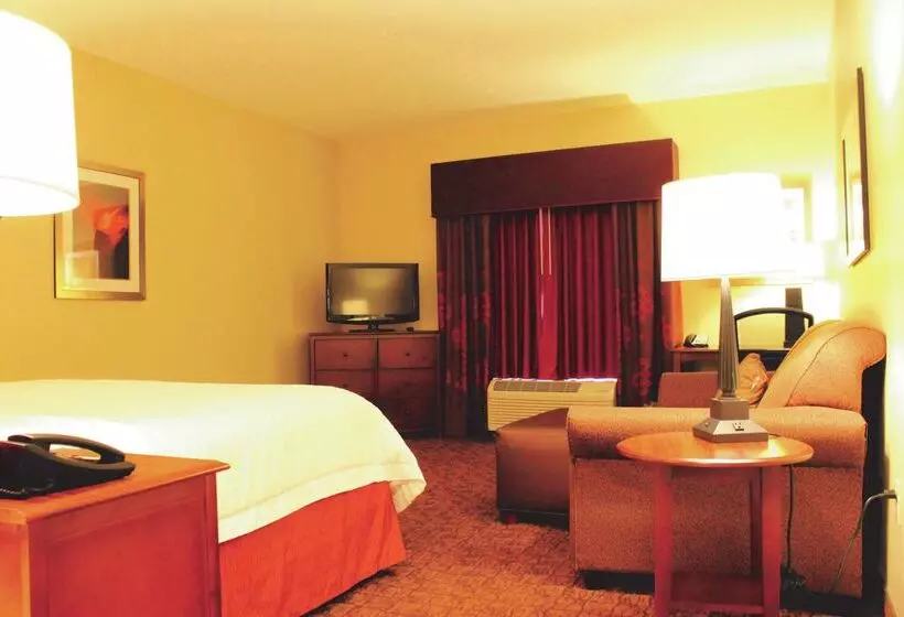 酒店 Hampton Inn & Suites Mcallen