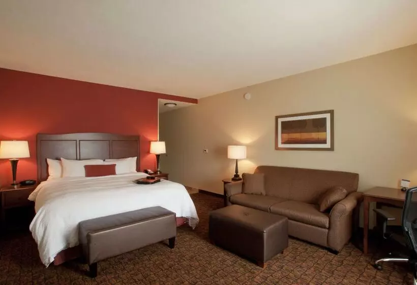 酒店 Hampton Inn & Suites Mcallen