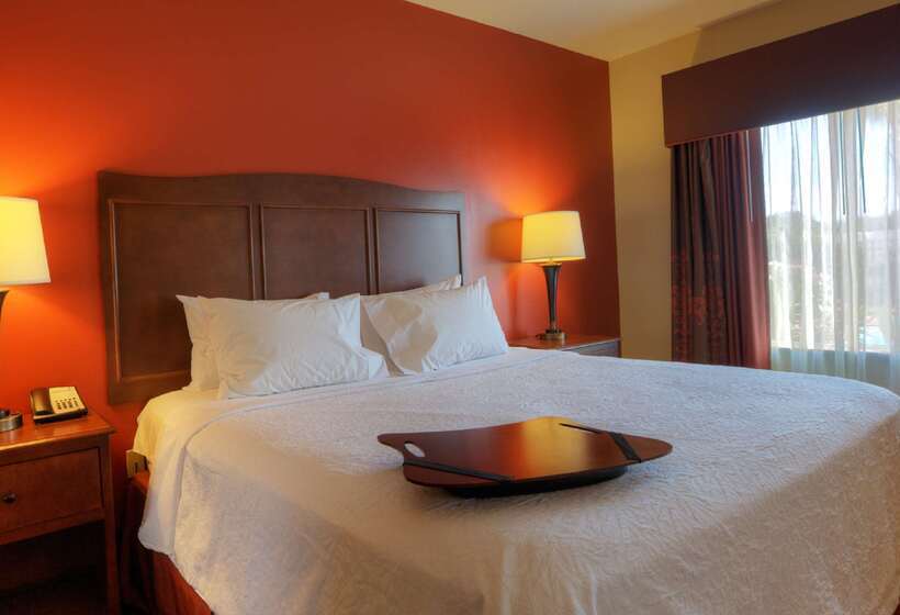 ホテル Hampton Inn & Suites Mcallen