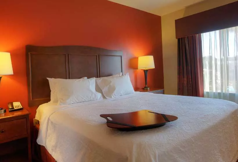 酒店 Hampton Inn & Suites Mcallen