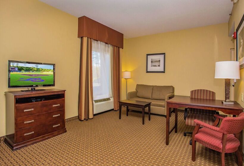 ホテル Hampton Inn & Suites Sevierville @ Stadium Drive
