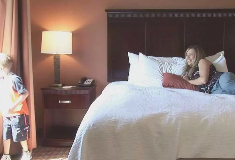 Отель Hampton Inn & Suites Sevierville @ Stadium Drive