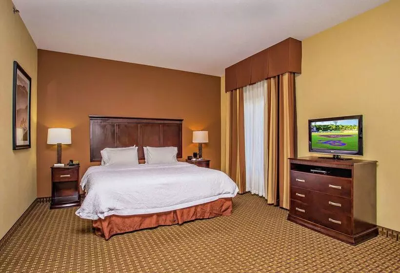 Отель Hampton Inn & Suites Sevierville @ Stadium Drive
