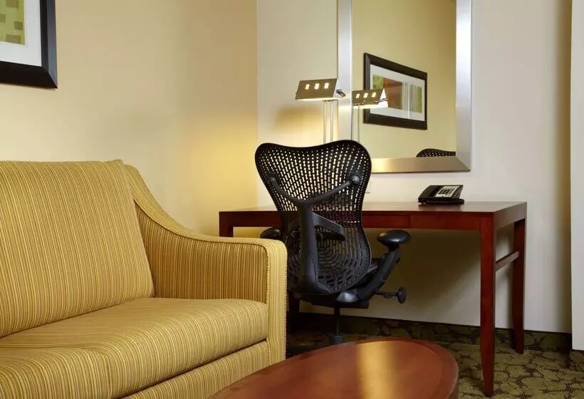 فندق Hilton Garden Inn Dallas/arlington