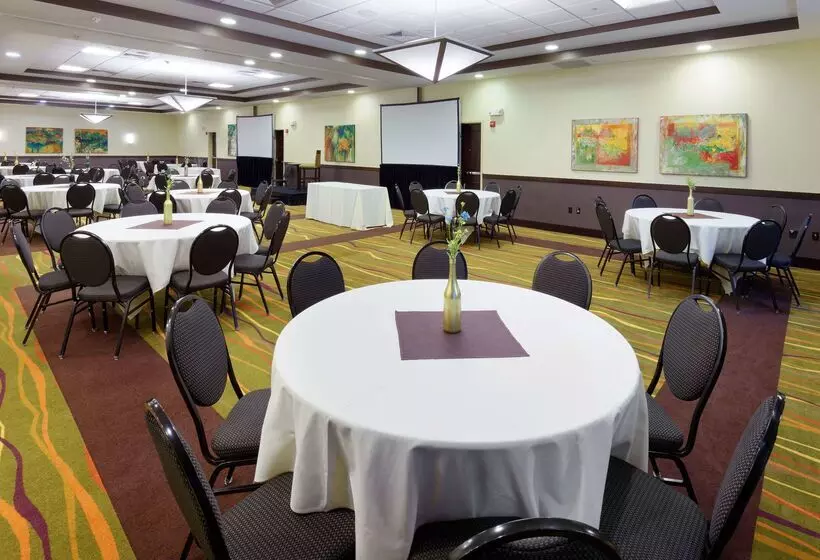 호텔 Hilton Garden Inn Springfield, Mo