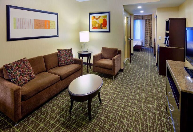 בית מלון כפרי Hilton Garden Inn Springfield, Mo