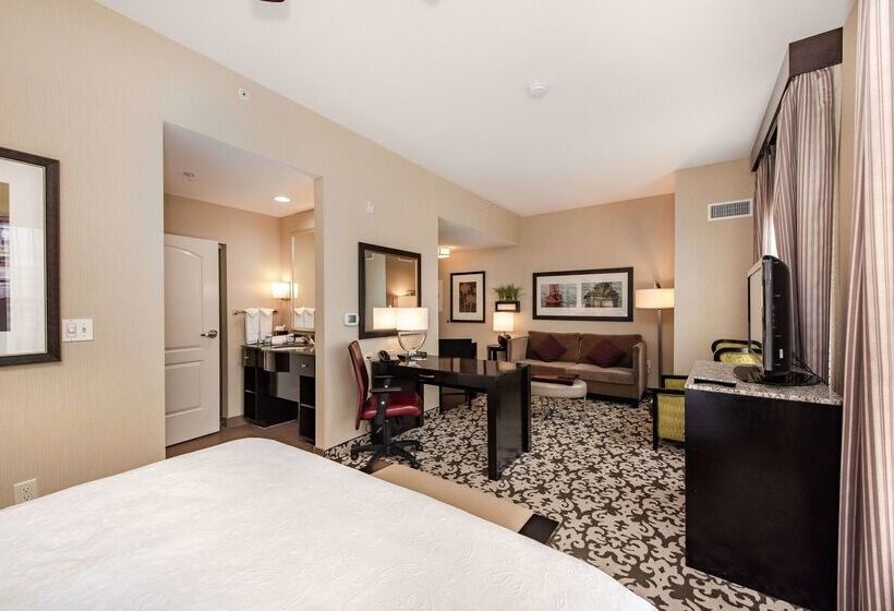 فندق Homewood Suites By Hilton Oxnard/camarillo