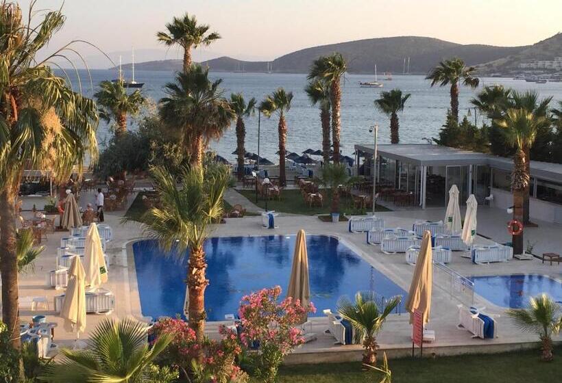 בית מלון כפרי Nagi Beach