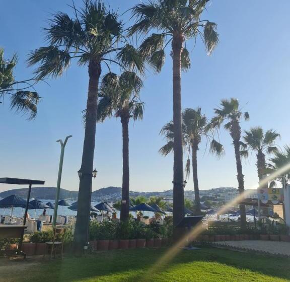 בית מלון כפרי Nagi Beach