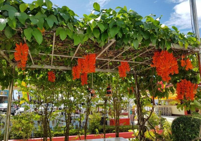 The Blueco Hotel Sha Plus