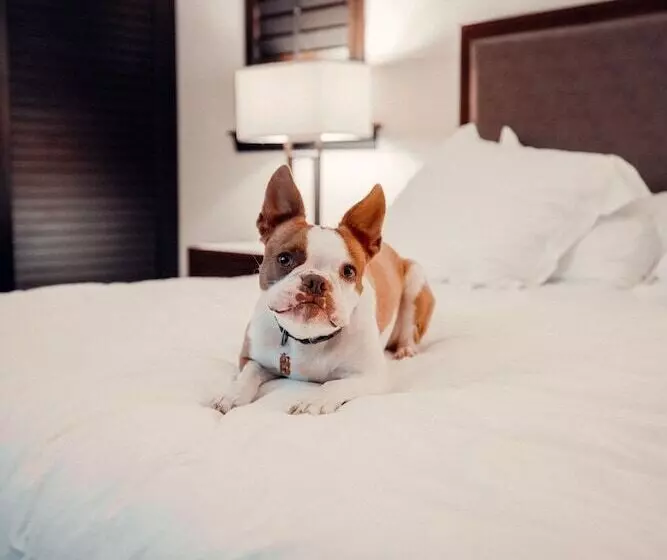 Отель The Seagate