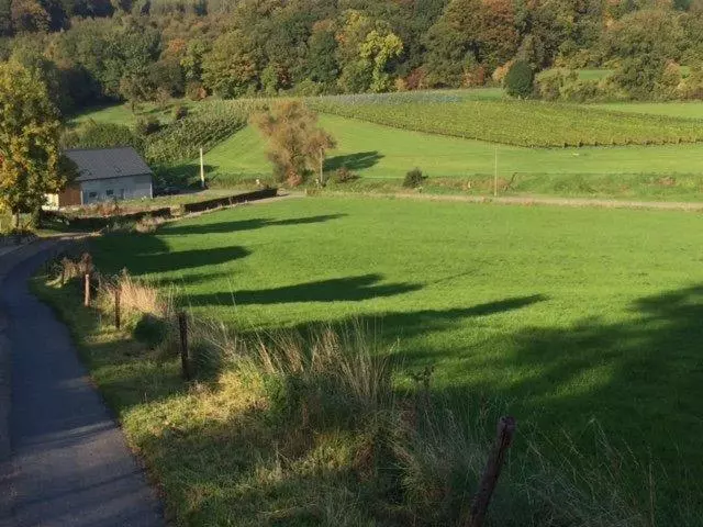 Aamiaismajoitus (B&B) Wijndomein Zwaeneberg