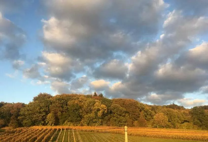 Aamiaismajoitus (B&B) Wijndomein Zwaeneberg