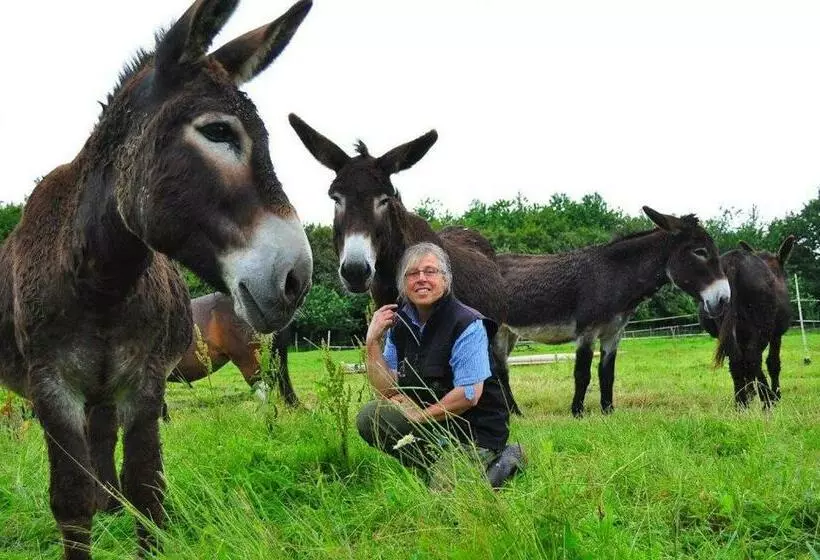 ペンション Domaine De Kernanou