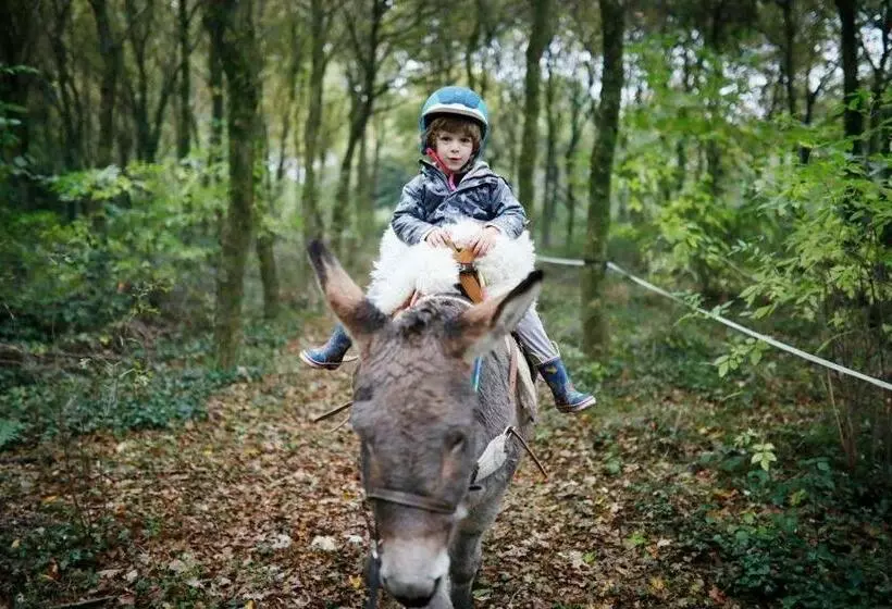 ペンション Domaine De Kernanou