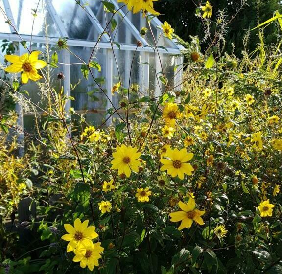 تختخواب و صبحانه Perenner På Bakgården