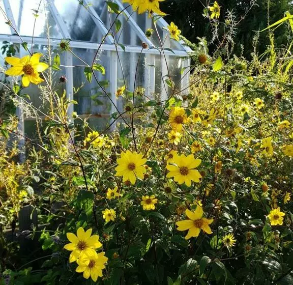 Aamiaismajoitus (B&B) Perenner På Bakgården
